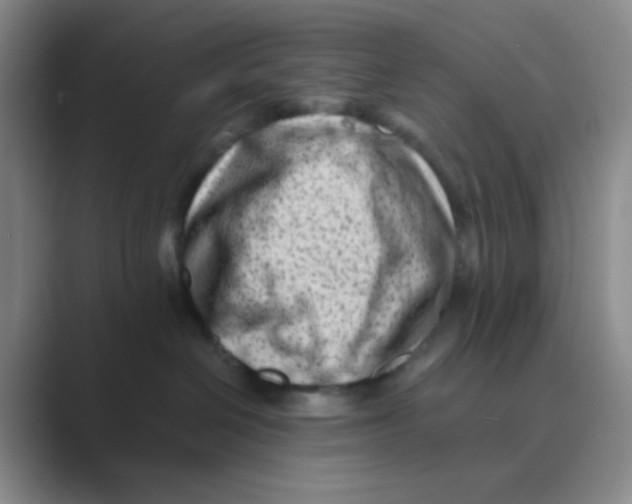 X0000088700286200706282029