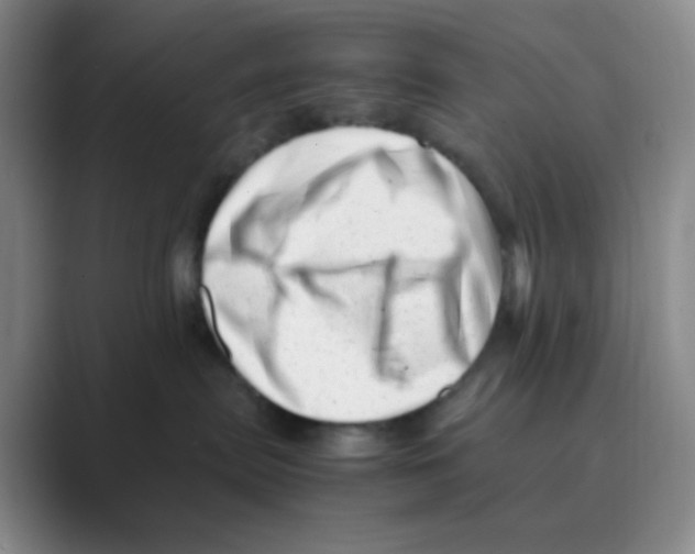 X0000088700287200706282029