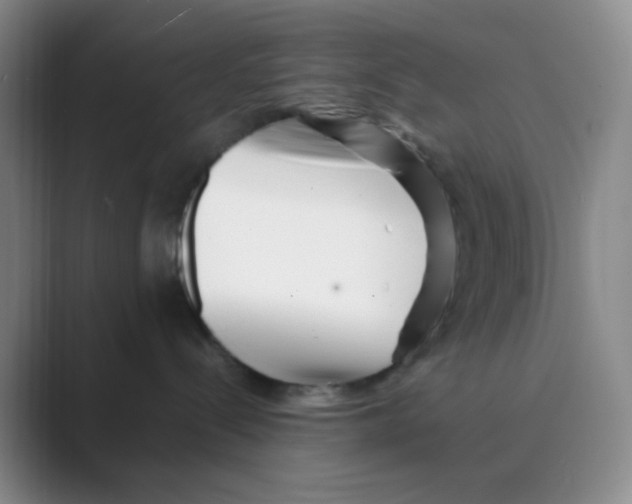 X0000088700288200706282029