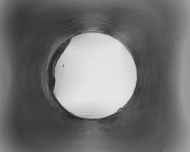 X0000088700289200706282029