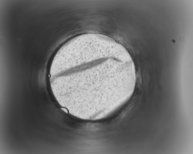 X0000088700292200706282028