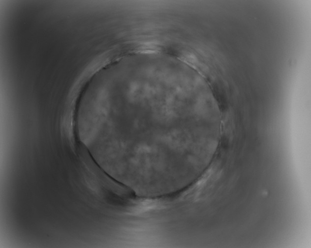 X0000088700293200706282028