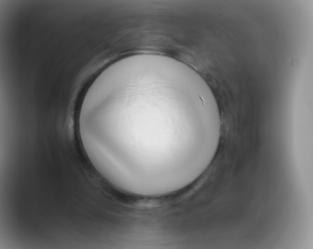 X0000088700294200706282028