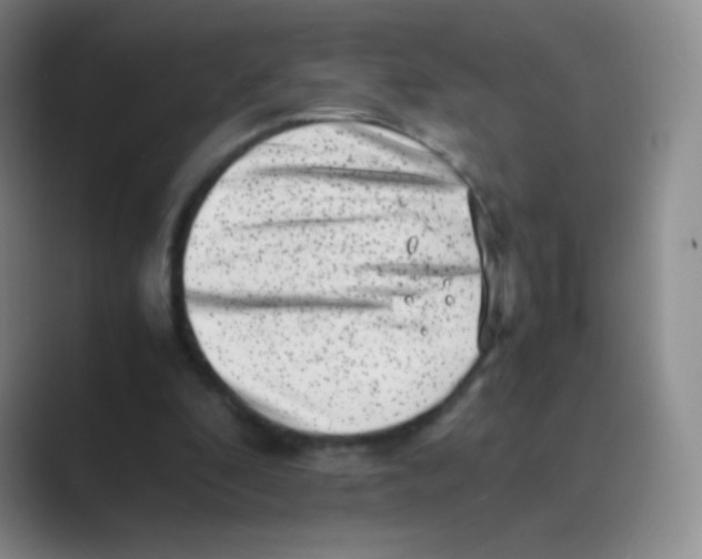 X0000088700296200706282028