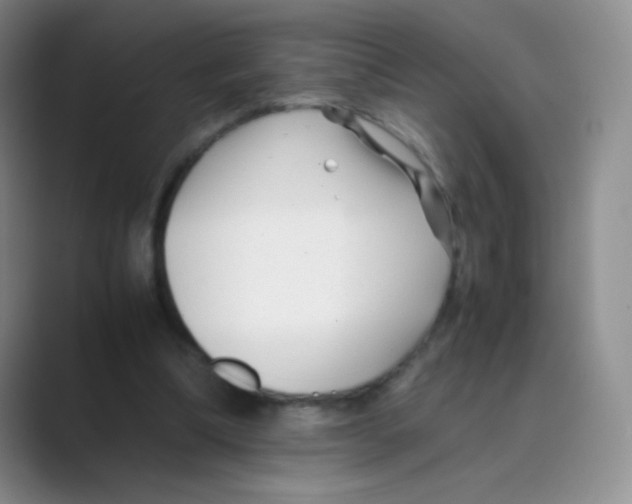 X0000088700298200706282028