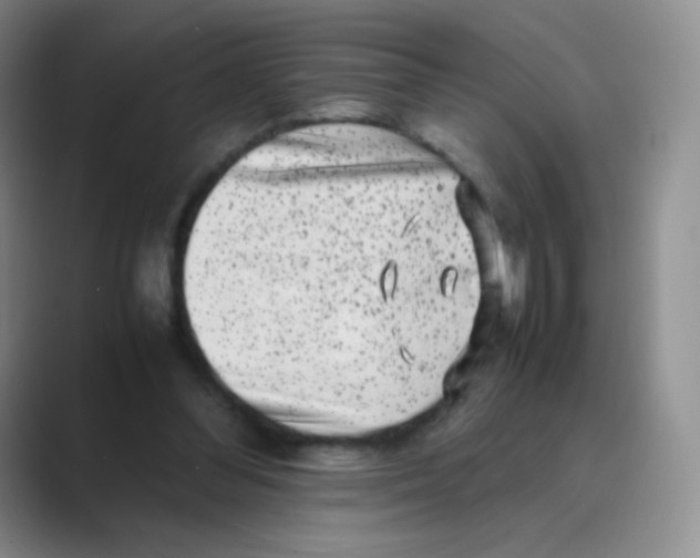 X0000088700300200706282028