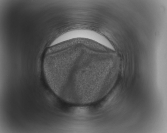 X0000088700303200706282028