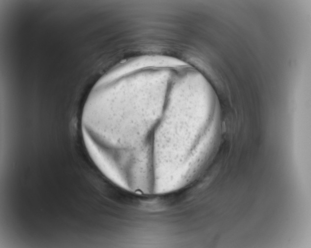 X0000088700309200706282028