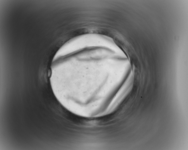 X0000088700313200706282028