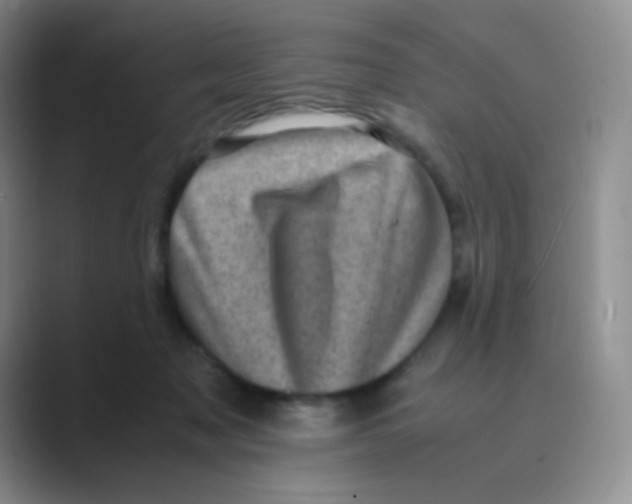 X0000088700317200706282028