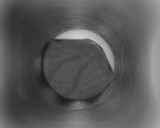 X0000088700319200706282028