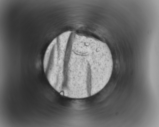 X0000088700320200706282028