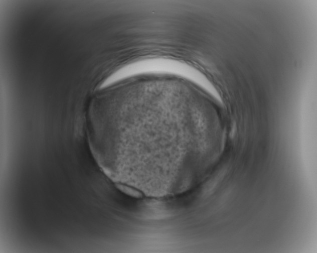 X0000088700325200706282028