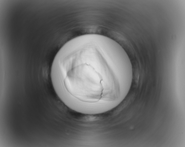 X0000088700326200706282028