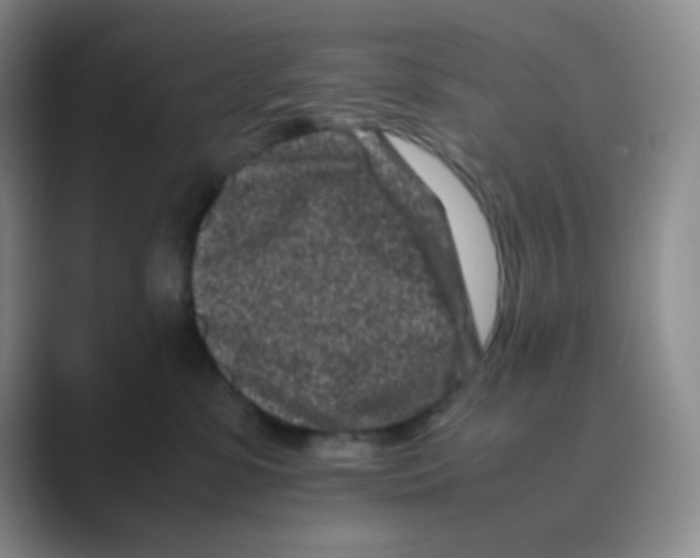 X0000088700331200706282028