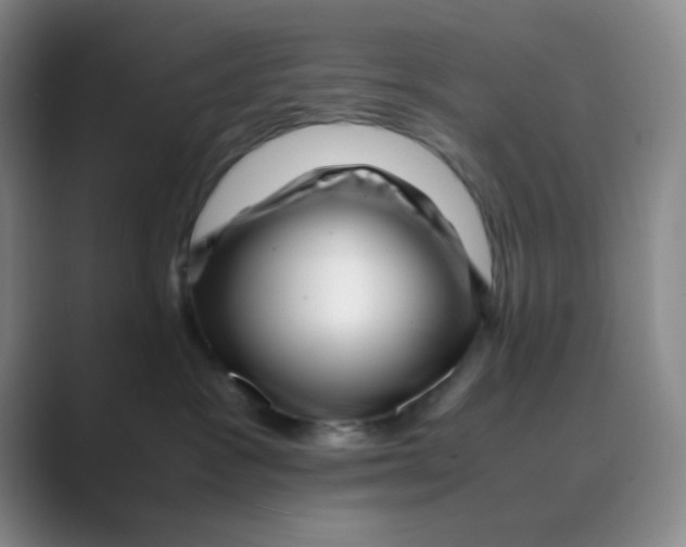 X0000088700333200706282028