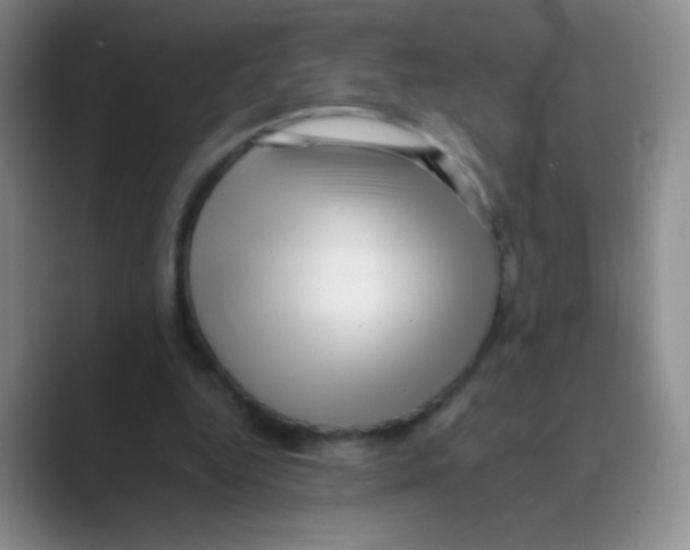 X0000088700344200706282027