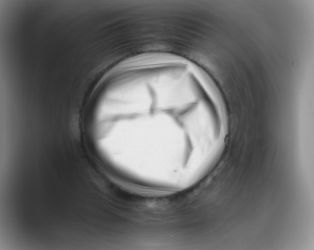 X0000088700345200706282027