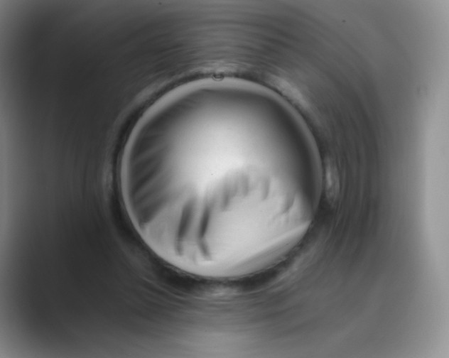 X0000088700348200706282027