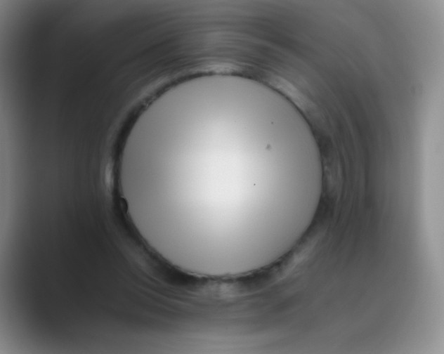 X0000088700350200706282027