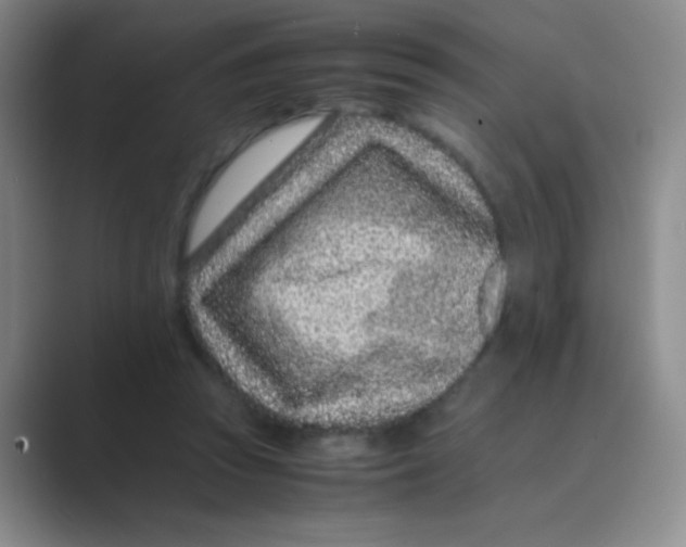 X0000088700353200706282027