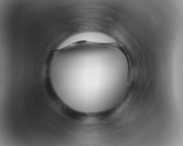 X0000088700356200706282028