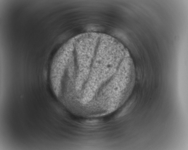 X0000088700357200706282028