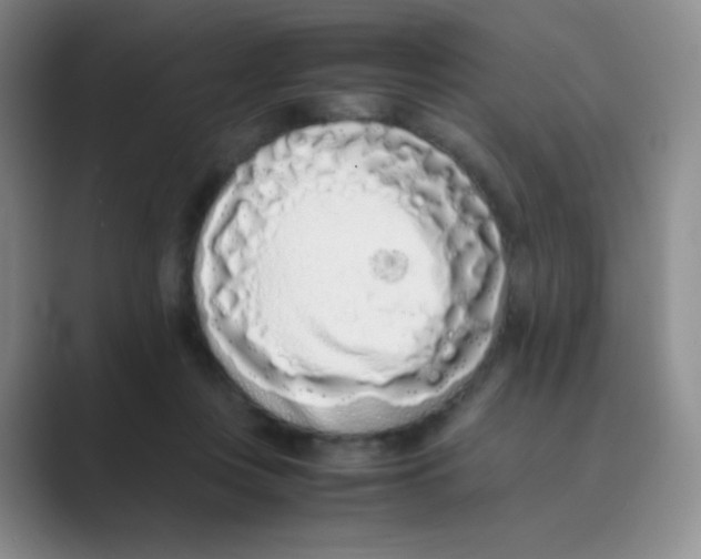 X0000088700359200706282028