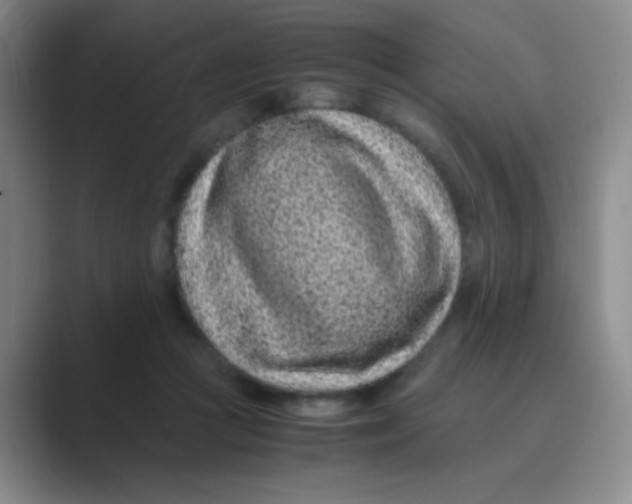 X0000088700361200706282028