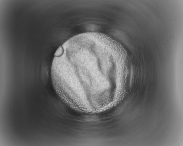 X0000088700363200706282028