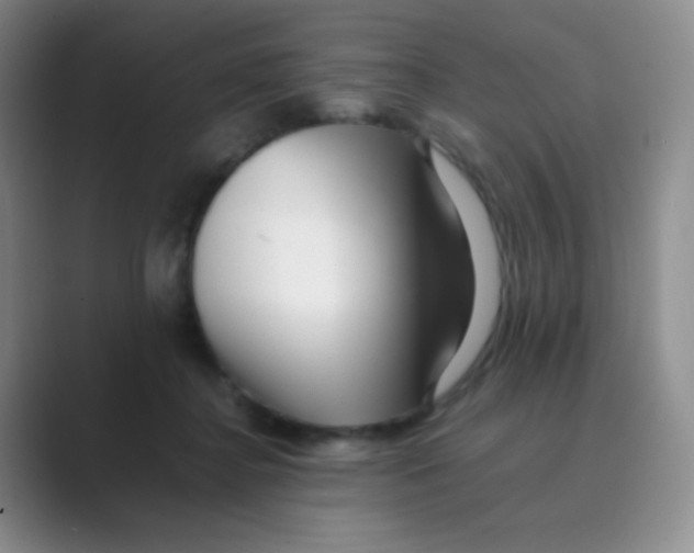 X0000088700364200706282028