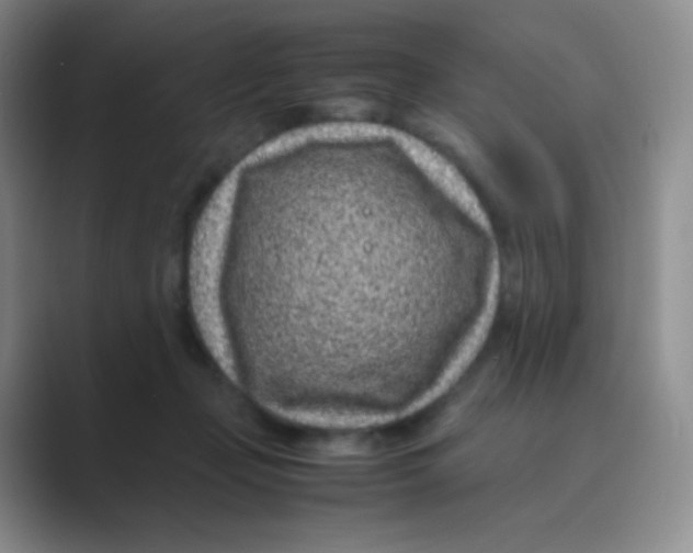 X0000088700365200706282028