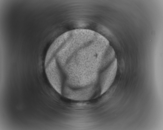 X0000088700366200706282028