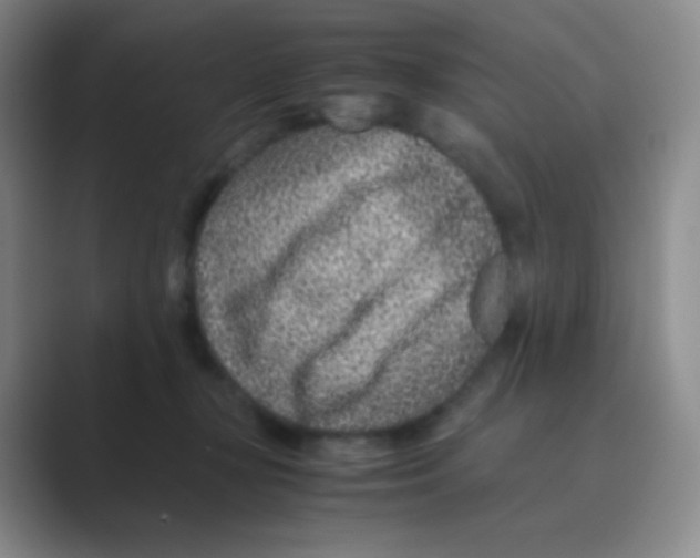 X0000088700367200706282028