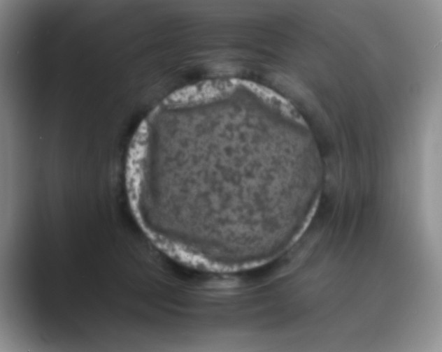 X0000088700369200706282028