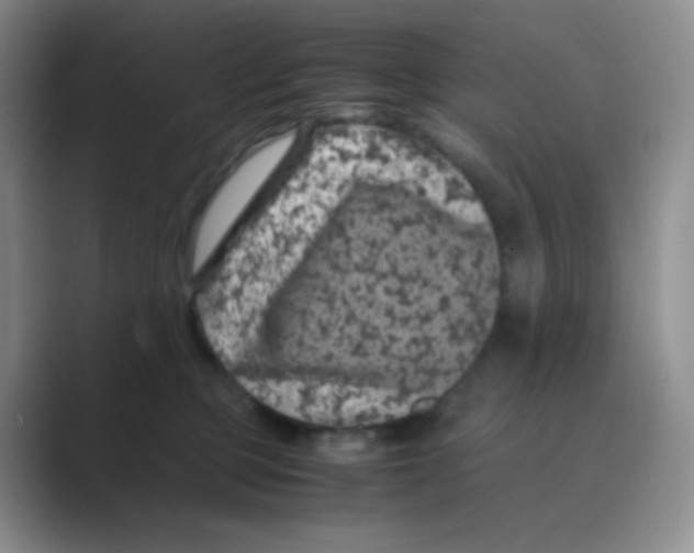 X0000088700373200706282028