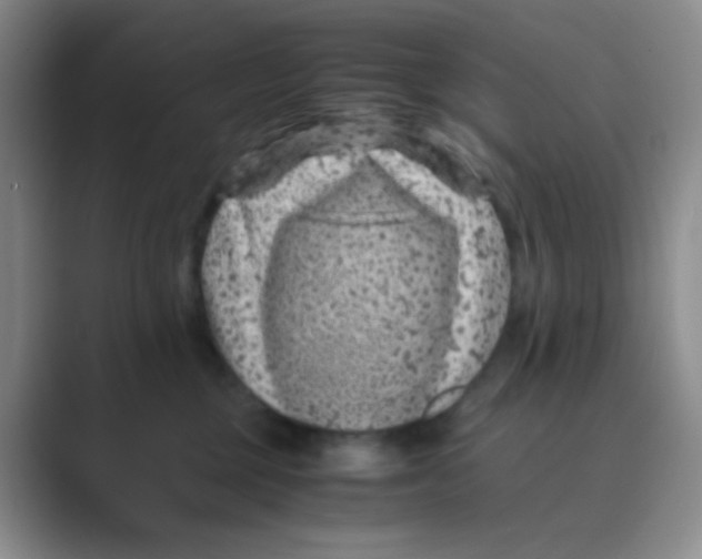 X0000088700377200706282028