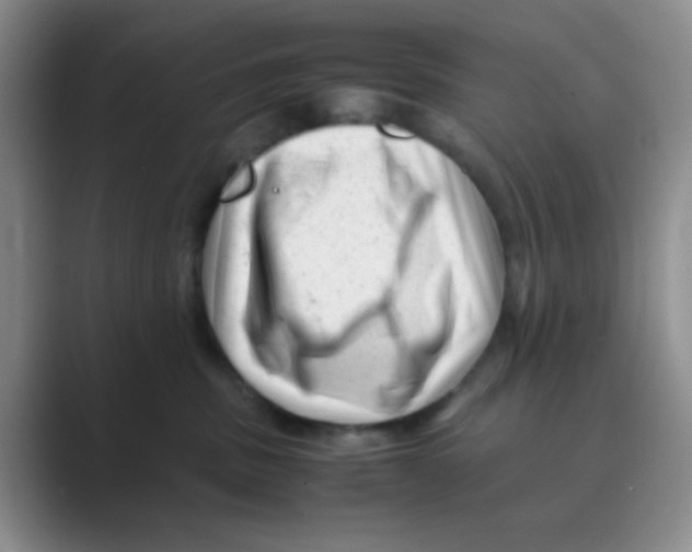 X0000088700379200706282028