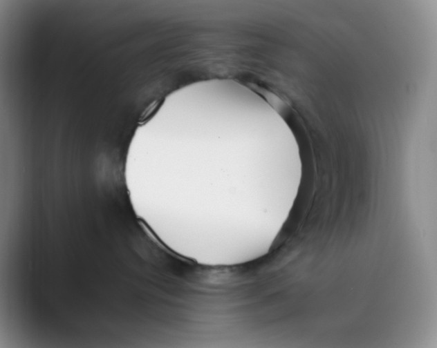 X0000088700384200706282028