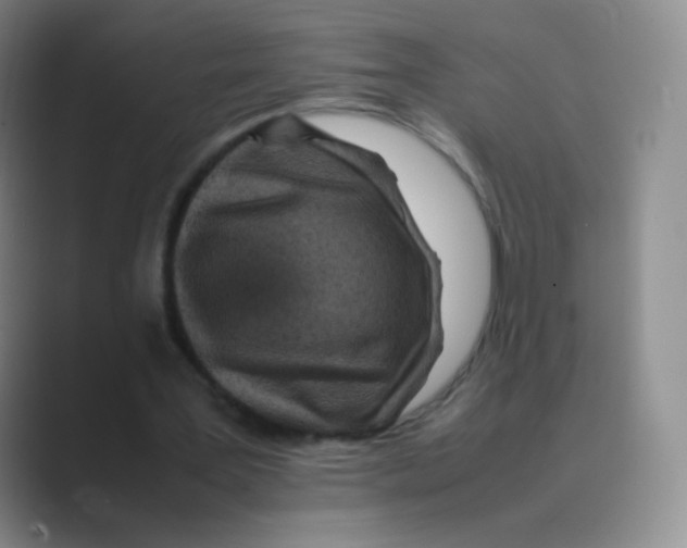 X0000088700387200706282027