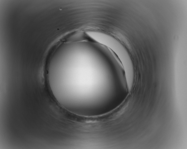 X0000088700388200706282027