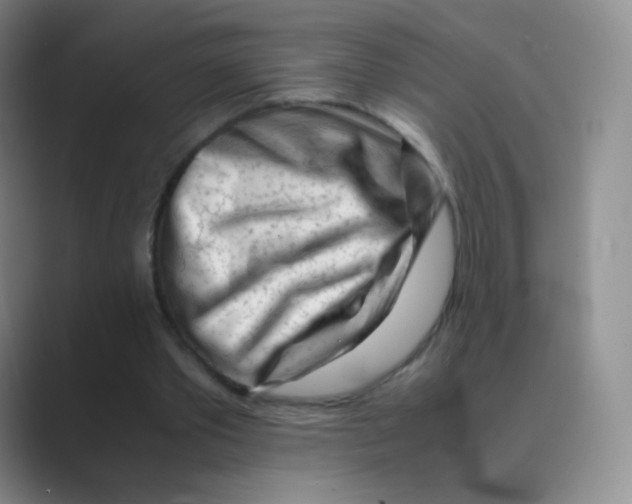 X0000088700389200706282027