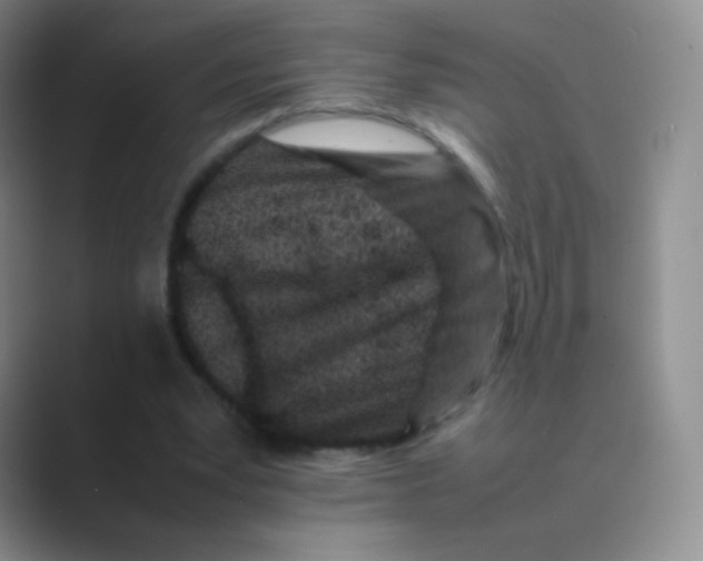 X0000088700391200706282027