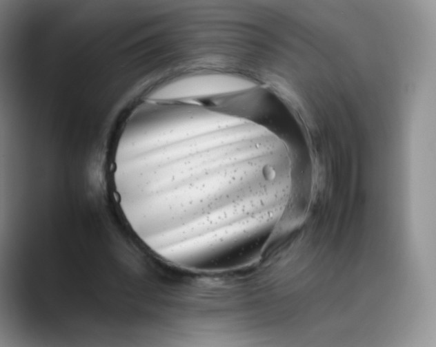 X0000088700392200706282027