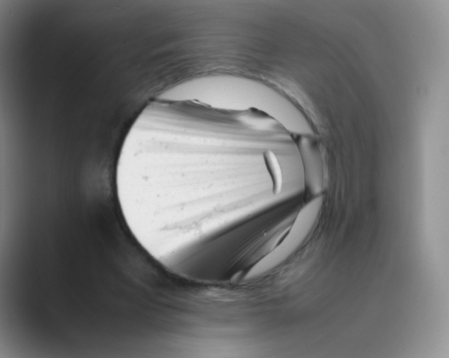 X0000088700393200706282027