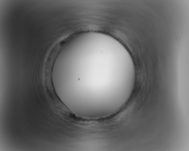 X0000088700395200706282027