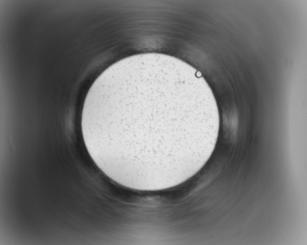 X0000088700396200706282027