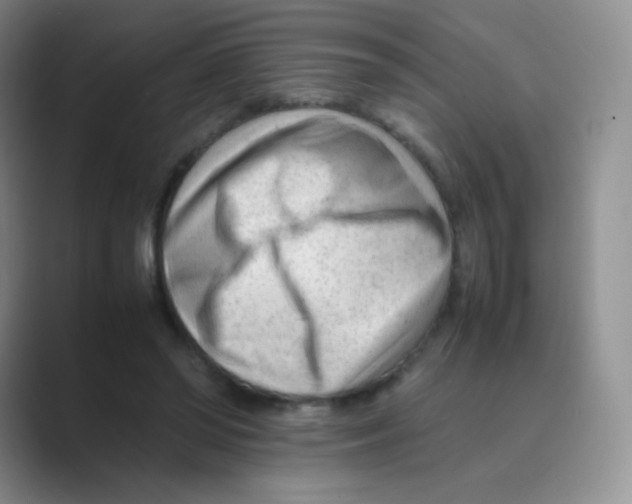 X0000088700398200706282027