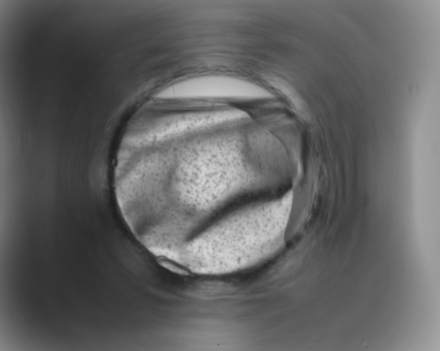 X0000088700399200706282027