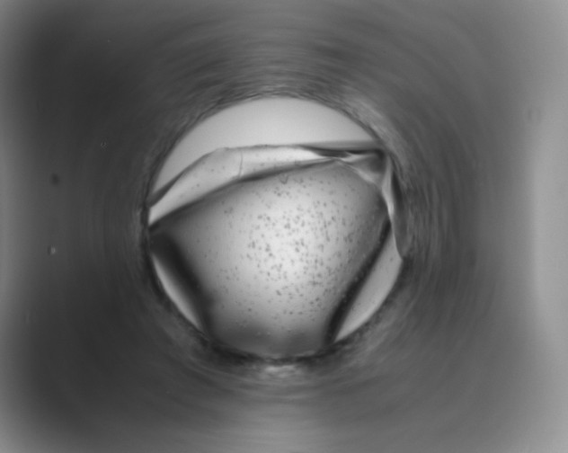 X0000088700401200706282027